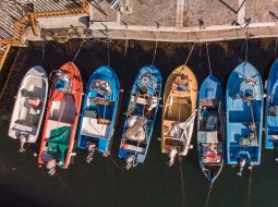 Don Bullard - Fishing Boats