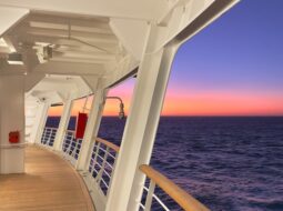 Charting New Horizons The Growing Appeal of Adventure Cruises